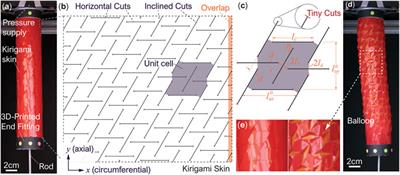 Pneumatic Soft Actuators With Kirigami Skins